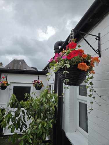 The Bell Hotel Hoddesdon – 1940s Tearoom